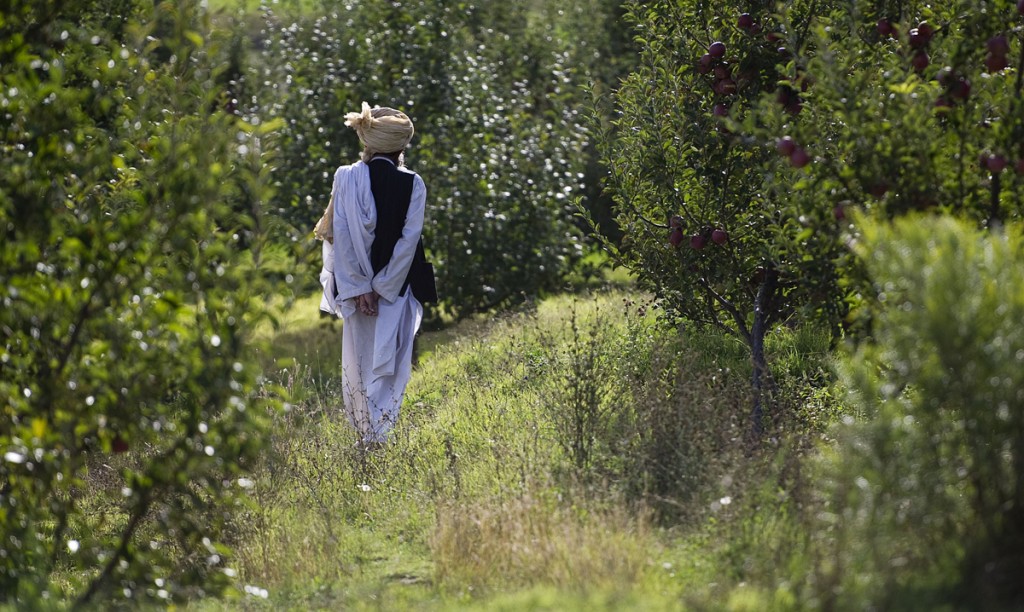 An elder walks through an orchard in the village of Shatowry, home of mullah Tuti. We actually were given some apples. They were tasty (Photo: Heimken))